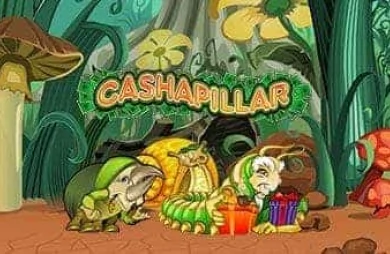 Cashapillar