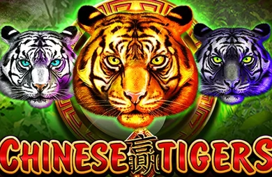Chinese Tigers