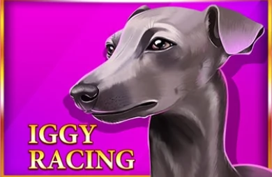 Iggy Racing