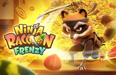 Ninja Raccoon Frenzy