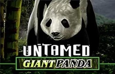 Untamed Giant Panda