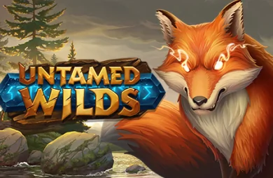 Untamed Wilds