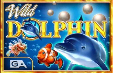 Wild Dolphin