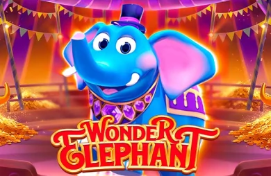 Wonder Elephant