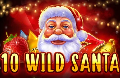 10 Wild Santa