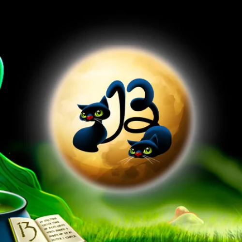 13