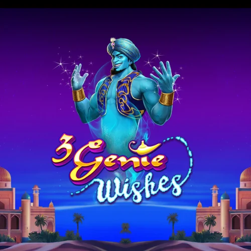 3 Genie Wishes