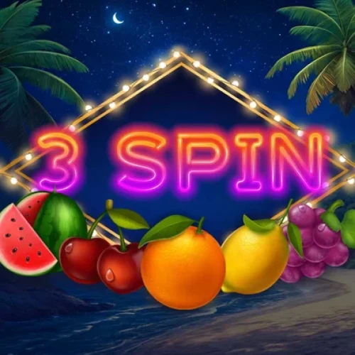 3 Spin