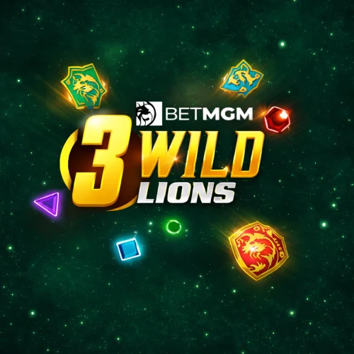 3 Wild Lions