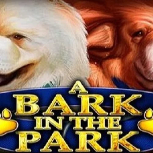 A bark in the park