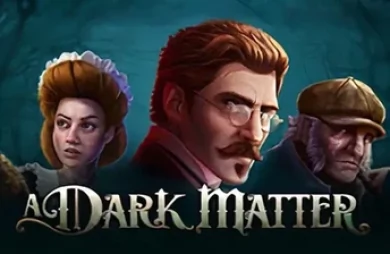 A Dark Matter