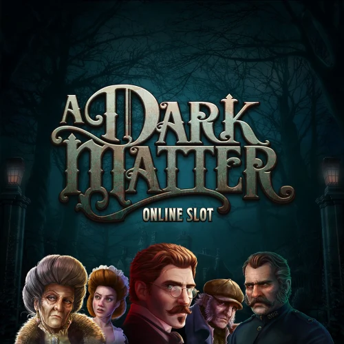 A Dark Matter