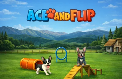 Ace and Flip