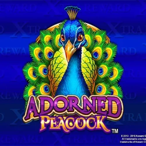 Adorned Peacock