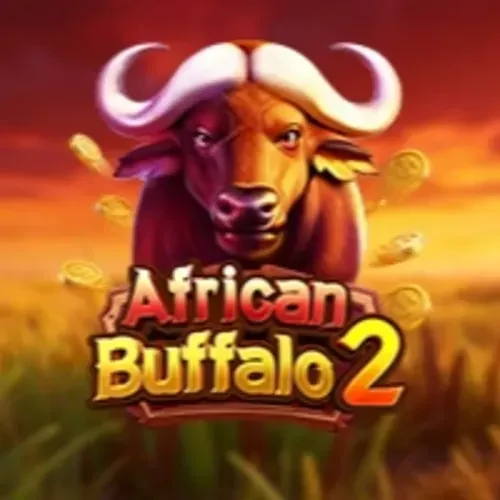 African Buffalo 2