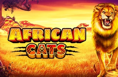 African Cats
