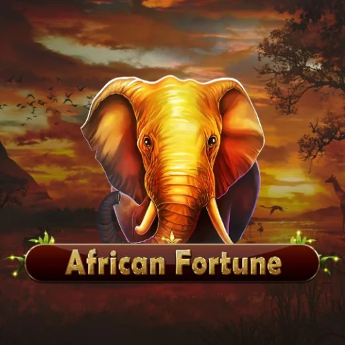 African Fortune