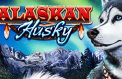 Alaskan Husky