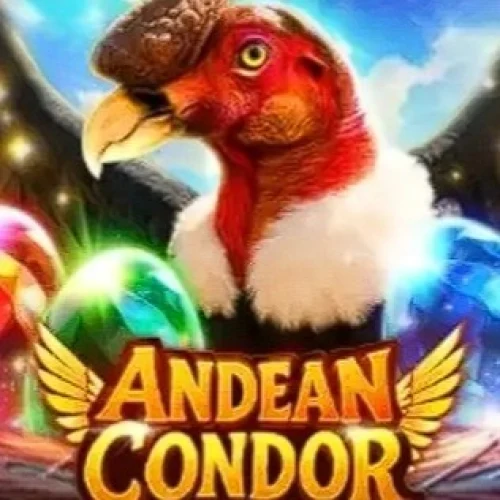 Andean Condor