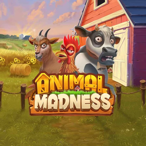Animal Madness