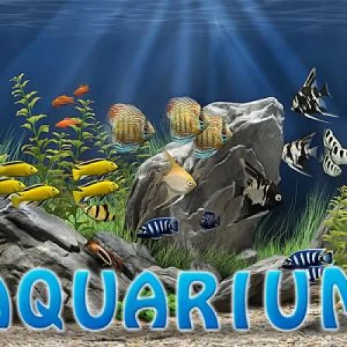 Aquarium HD