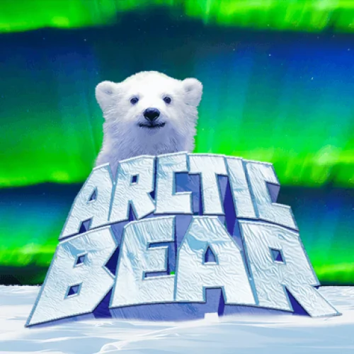 Arctic Bear