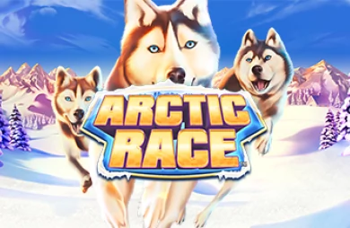Arctic Race