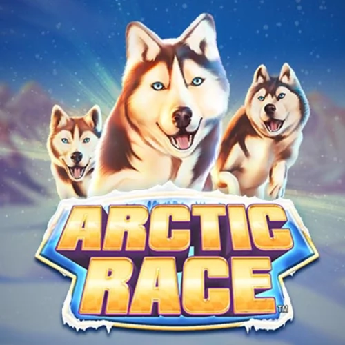 Arctic Race
