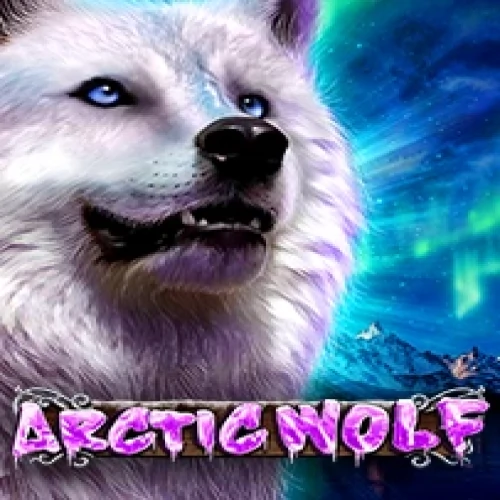 Arctic Wolf