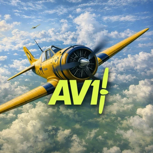 Avi Crash