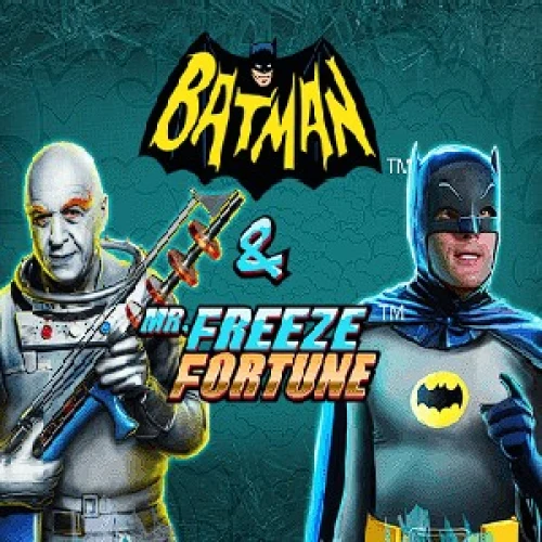 Batman &amp; Mr Freeze Fortune