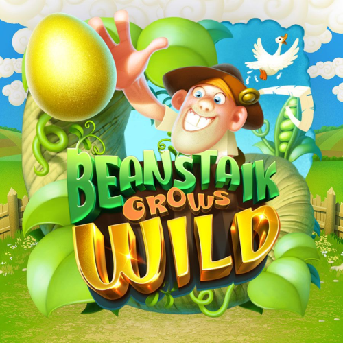 Beanstalk Grows Wild
