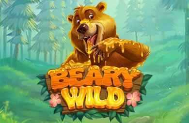 Beary Wild