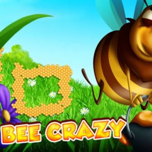 Bee Crazy HD