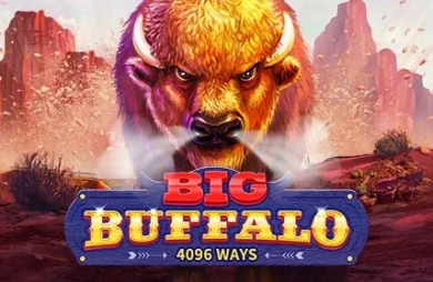 Big Buffalo (Skywind Group)