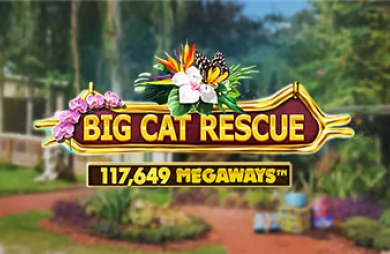 Big Cat Rescue Megaways