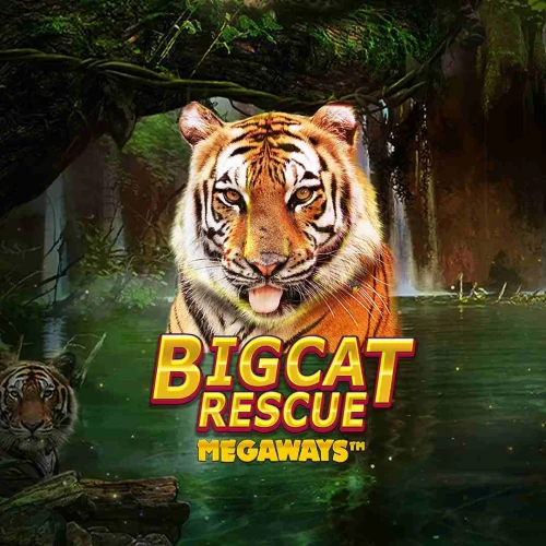 Big Cat Rescue Megaways