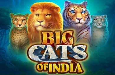 Big Cats of India