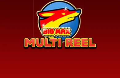 Big Max Multi Reel