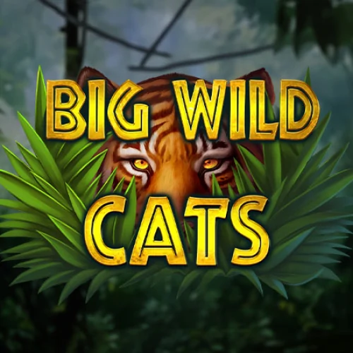 Big Wild Cats