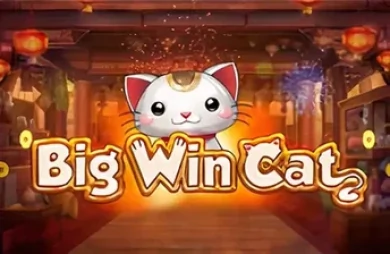 Big Win Cat
