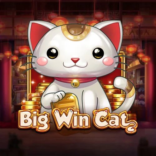 Big Win Cat