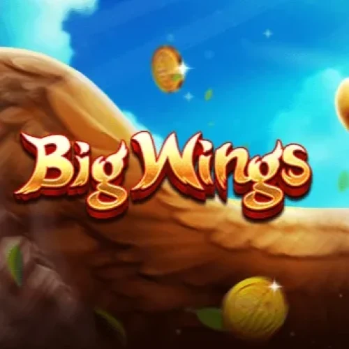 Big Wings
