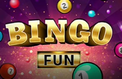 Bingo Fun