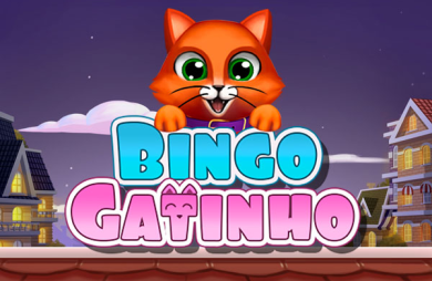 Bingo Gatinho