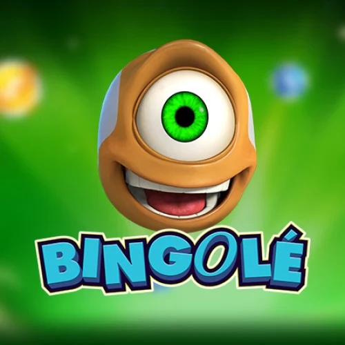 Bingole