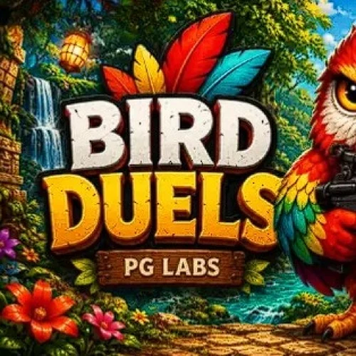 BIRD DUELS