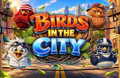 Birds in the City
