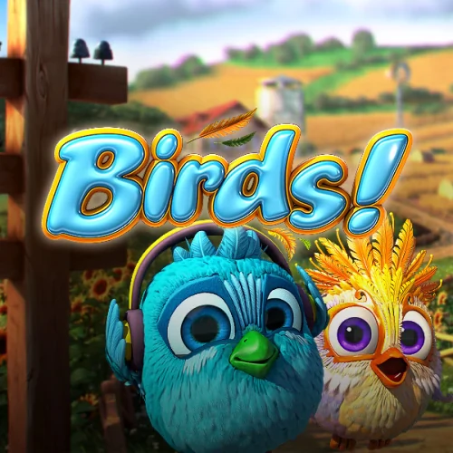 Birds!