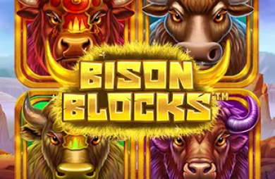 Bison Blocks